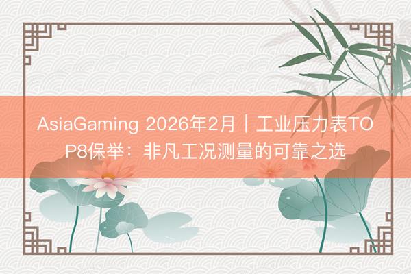 AsiaGaming 2026年2月｜工業壓力表TOP8保舉：非凡工況測量的可靠之選