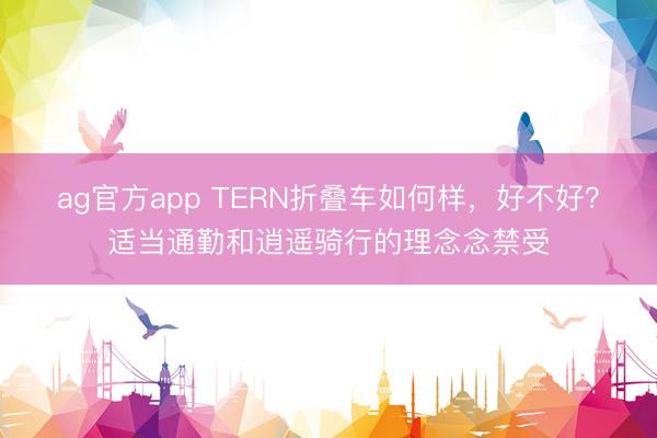 ag官方app TERN折疊車如何樣，好不好？適當通勤和逍遙騎行的理念念禁受
