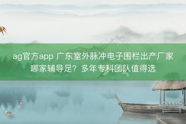 ag官方app 廣東室外脈沖電子圍欄出產(chǎn)廠家哪家輔導(dǎo)足？多年專科團(tuán)隊(duì)值得選