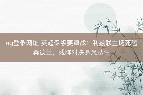 ag登錄網(wǎng)址 英超保級(jí)要津戰(zhàn)：利茲聯(lián)主場(chǎng)死磕桑德蘭，殘陣對(duì)決懸念叢生